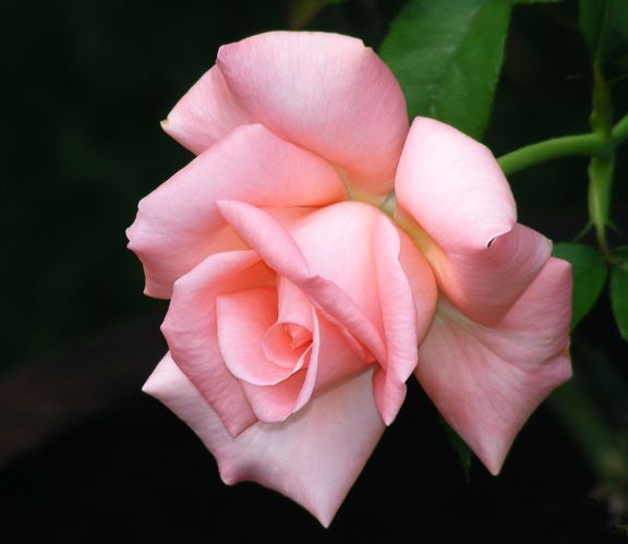 New Zealand photo nz2013_08260019_zps10d000e3.jpg